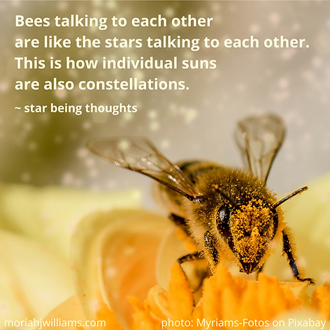 Meme: Bees constellations