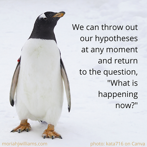 Meme: We can throw out our hypotheses at any moment and return to the question, What is happening now?